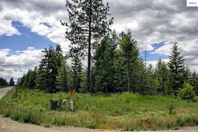 Lot B7 Northern Sky Rd, Athol, ID 83801 - photo 4