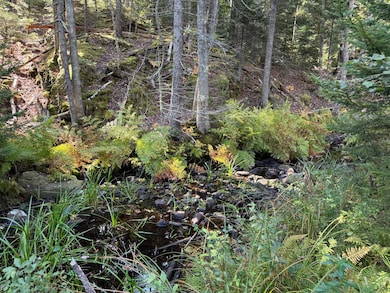 0 Main Rd, Phippsburg, ME 04562 - photo 4