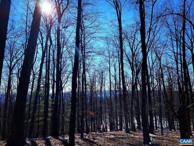 N/A Turner Mountain Rd, University, VA 22903 - photo 6