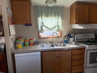 2706 Patrick Henry Ct, Potterville, MI 48876 - photo 3