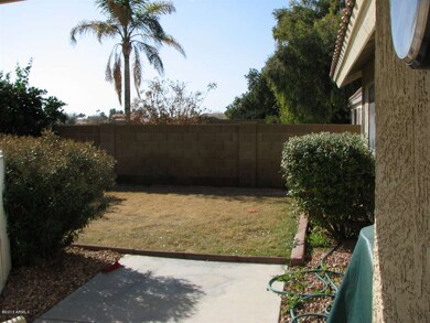 6 Backyard