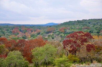 28 ACRES On Park Mountain Dr, San Antonio, TX 78255 - photo 4