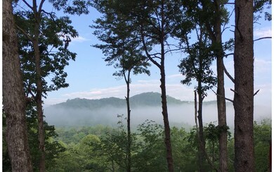 Additional View