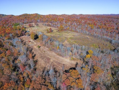 0 Ky 377, Vanceburg, KY 41179 - photo 5