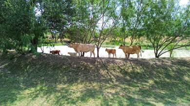 16587 S Loop 1604 W, von Ormy, TX 78073 - photo 3