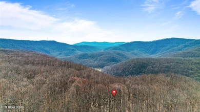 183 Persimmon Ln, Pioneer, TN 37847 - photo 6