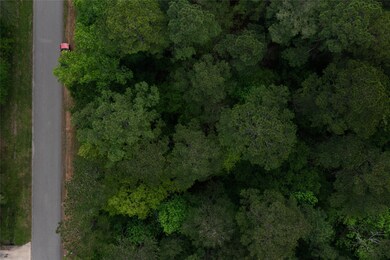 9203 Deer Lodge Rd, Magnolia, TX 77354 - photo 7