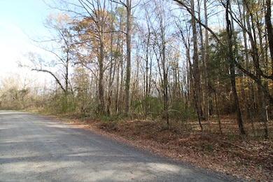 6.5 + - Ac Bookout Rd, Rock Hill, SC 29730 - photo 5