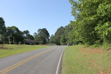 0 Timberlane Dr, Americus, GA 31709 - photo 3