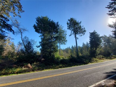 36602 Stackpole Rd, Oysterville, WA 98641 - photo 3