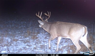 0 Ormsby Rd, Deerbrook, WI 54424 - photo 2