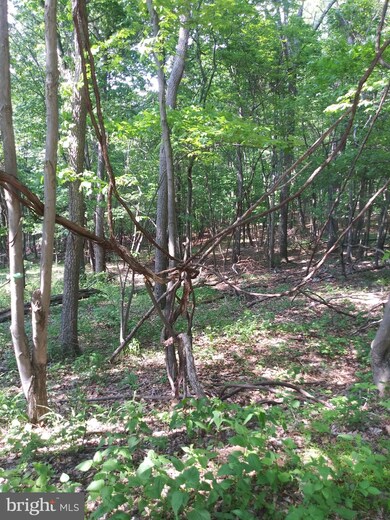 60 High Mountain View Rd, Three Chrs, WV 26757 - photo 3