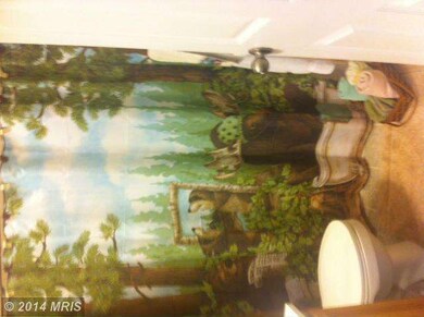 461 Washout Ln, Winchester, VA 22603 - photo 3