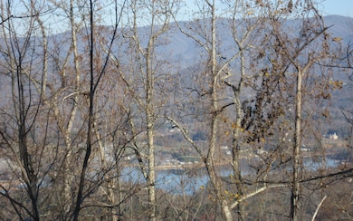 Additional View