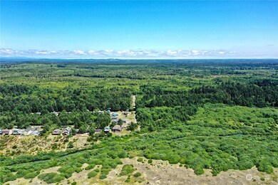 2850 Washington 109, Copalis Beach, WA 98569 - photo 5