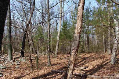 Parcel 1 Ridgeview Rd, Rochester, NY 12446 - photo 4