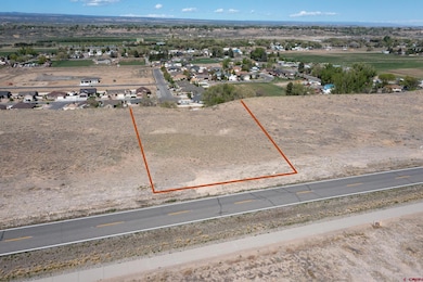 TBD Sunset Mesa Lot 3 Rd, Montrose, CO 81403 - photo 5