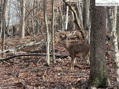 109 Hawthorne Rd, Beech Mountain, NC 28604 - photo 6