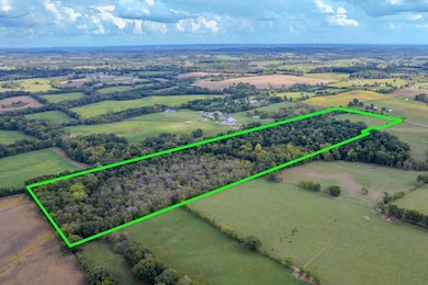 0 State Hwy E, Oak Ridge, MO 63769 - photo 2