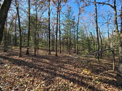 26000 Bokoshe Mountain Ln, Bokoshe, OK 74930 - photo 7