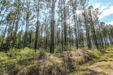 7.29 Acres Homestead Rd, Lucedale, MS 39452 - photo 2