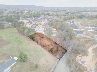 Lot 34 Laura Ln, Southside, AL 35907 - photo 3