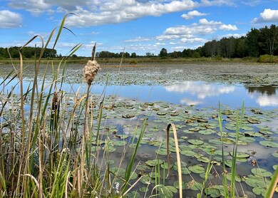 5001 N Richmond Rd, Pierpont, OH 44082 - photo 3