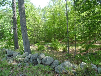 352 Sokokis Trail S, Limerick, ME 04048 - photo 3