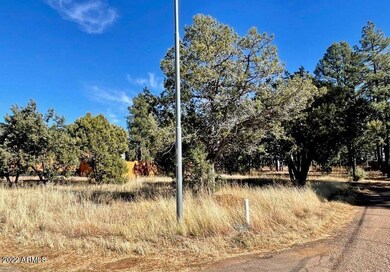 801 Bushman -- unit 1, Show Low, AZ 85901 - photo 6