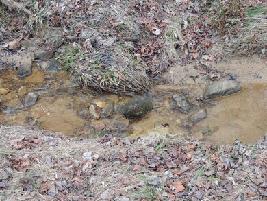 0 Lister Rd, Greer, SC 29651 - photo 5