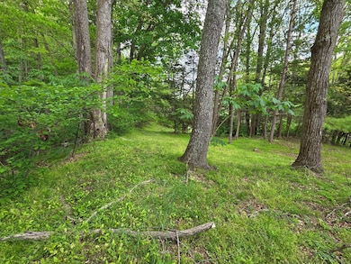 39075 Widener Valley Rd, Chilhowie, VA 24319 - photo 6