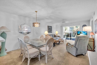 6501 Stone River Rd unit 209, Bradenton, FL 34203 - photo 5