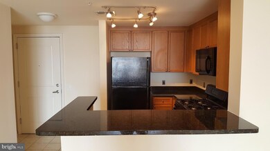 The Crescent unit 1411, Silver Spring, MD 20910 - photo 2