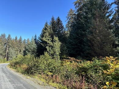 Heavily Wooded