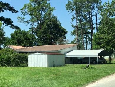 112 N Devane St, Adel, GA 31620 - photo 4