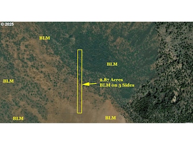 0 Hogback Rd unit TL 100 285173490, Plush, OR 97637 - photo 3