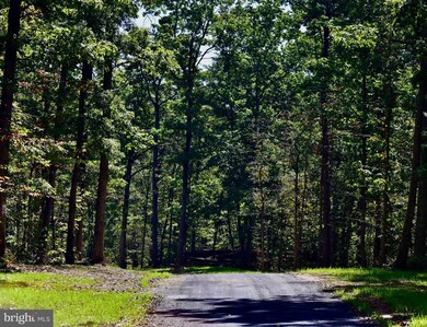158.5 Acres Lot 3 Laurel Grove Rd, Winchester, VA 22602 - photo 4