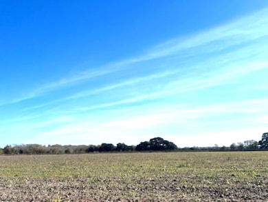 28 Acres Shaws Bend Rd, Columbus, TX 78934 - photo 2