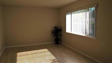 Living Room window