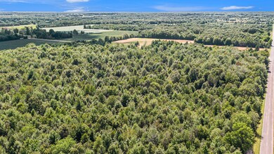DJI_0499