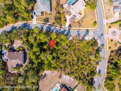 DJI_20250202052246_0004_D copy