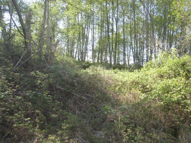 161 45 Rd, Arlington, WA 98223 - photo 2