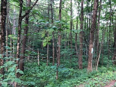 220 Hawley Rd, Ashfield, MA 01330 - photo 2