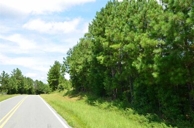 1355 Pete Roberson Rd, Pittsboro, NC 27312 - photo 4