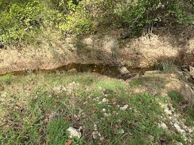 View of undeveloped land
