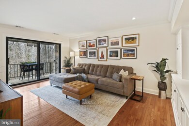 6063 Majors Ln unit 6, Columbia, MD 21045 - photo 5