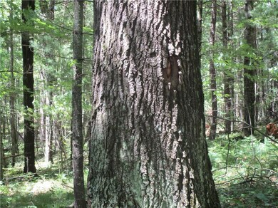 5569 Gaslyn Rd, Webster, WI 54893 - photo 6