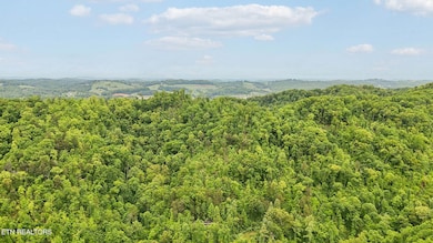 201 BIRCH HOLLOW RD
