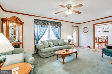 566 Wild Apple Ln, Paw Paw, WV 25434 - photo 6