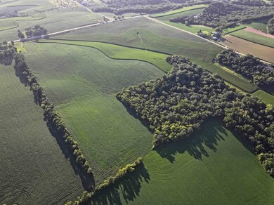 128.3 M/L Acres Wisconsin 78, Mount Horeb, WI 53572 - photo 5